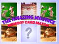 Jwèt The Amazing Maurice Card Match