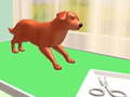 Jwèt Pet Care