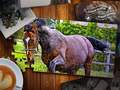 Jwèt Jigsaw Puzzle Horses Edition