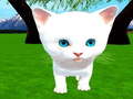 Jwèt Cutie cat
