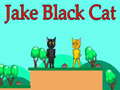 Jwèt Jake Black Cat