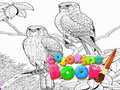 Jwèt Coloring Book for Adults