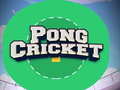 Jwèt Pong Cricket