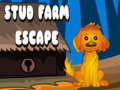 Jwèt Stud Farm Escape