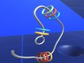 Jwèt Make Rings Off 
