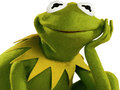Jwèt Coloring Book For Kermit the Frog 