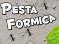 Jwèt Pesta Formica