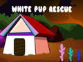 Jwèt White Pup Rescue 