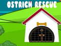 Jwèt Ostrich Rescue