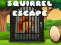 Jwèt Squirrel Escape