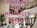 Jwèt Finding The Naughty Bunny