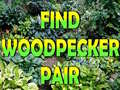 Jwèt Find Woodpecker Pair 