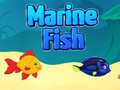 Jwèt Marine Fish