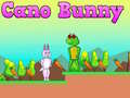 Jwèt Cano Bunny