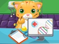 Jwèt Cat Doctor