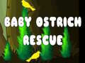 Jwèt Baby Ostrich Rescue
