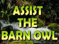 Jwèt Assist The Barn Owl 