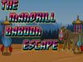 Jwèt The Mandrill Baboon Escape