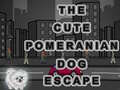 Jwèt Cute Pomeranian Dog Escape