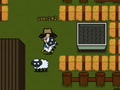 Jwèt Sheep13
