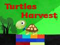 Jwèt Turtles Harvest