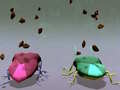 Jwèt Shield Bugs