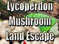 Jwèt Lycoperdon Mushroom Land Escape