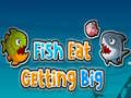 Jwèt Fish Eat Getting Big