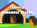 Jwèt Trapped Mangoose Rescue