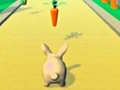Jwèt Rabbit Runner