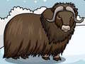 Jwèt Rescue The Musk Ox