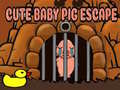 Jwèt Cute baby Pig escape