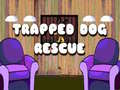 Jwèt Trapped dog Rescue