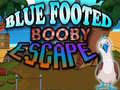 Jwèt Blue Footed Booby Escape