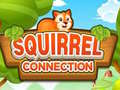Jwèt Squirrel Connection