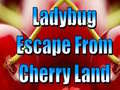 Jwèt Ladybug Escape From Cherry Land