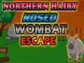 Jwèt Northern hairy nosed wombat Escape
