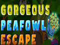 Jwèt Gorgeous Peafowl Escape