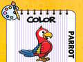 Jwèt Color Parrot