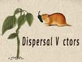 Jwèt Dispersal Vectors