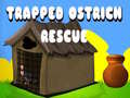 Jwèt Trapped Ostrich Rescue