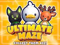 Jwèt Ultimate Maze! Collect Them All!