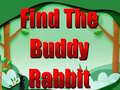 Jwèt Find The Buddy Rabbit