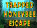 Jwèt Trapped Honeybee Escape