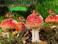 Jwèt Mushroom Forest Adventure