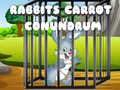 Jwèt Rabbits Carrot Conundrum
