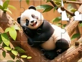 Jwèt Jigsaw Puzzle: Panda On Tree