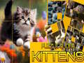 Jwèt Puzzle Sliding Kittens