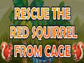 Jwèt Rescue The Red Squirrel From Cage