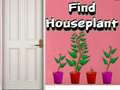 Jwèt Find Houseplant